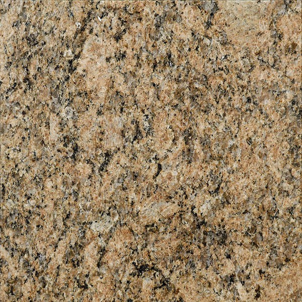 Giallo Venetian granite tile for flooring